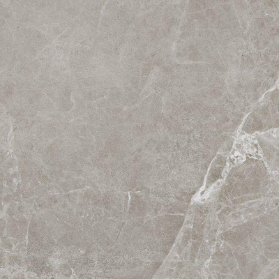Dado Ermetica Wandtegel - 60x60cm - 9.5mm - gerectificeerd - Grigio (Grijs)