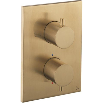 Crosswater MPRO Crossbox inbouw thermostatisch badkraan verticaal 2 uitgangen geborsteld messing