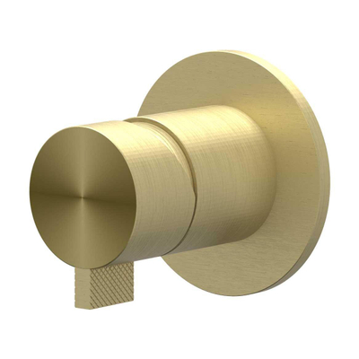 IVY Tribe inbouw douchemengkraan - eenhendel - inclusief inbouwdeel - RVS316 - geborsteld mat goud PVD