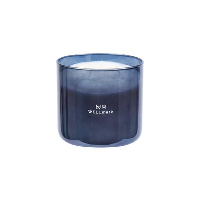 Wellmark Brave collection Geurkaars - groot - metallic grey