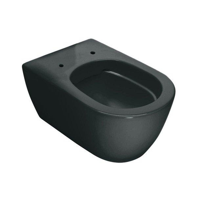 Royal Plaza Primo Toiletset - 35x54cm - hangend - spoelrandloos - diepspoel - met zitting - softclose - quick release - schoolbord