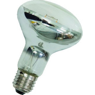 BAILEY LED Ledlamp L11.5cm diameter: 8cm Wit