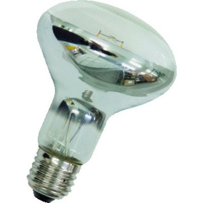 BAILEY LED Ledlamp L11.5cm diameter: 8cm Wit