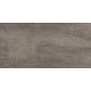 Floorgres Rawtech Vloer- en wandtegel 30x60cm 10mm gerectificeerd R10 porcellanato Mud SW93932