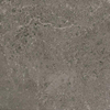 Serenissima Concreta vloer en wandtegel - 100x100cm - 8.5mm - vierkant - R10 - gerectificeerd - Antracite mat SW856420