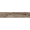 JOS. Woodmania Vloer- en wandtegel 20x120cm 9.5mm R9 porcellanato Ash SW94000