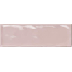 Beste koop Kendal Wandtegel - 6.5x20.2cm - 8mm - Rosa Glans SW892528