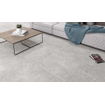 Pamesa Atrium Entis Vloer- en wandtegel 61x61cm 8.5mm porcellanato Ceniza SW369160