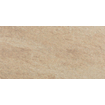 Floorgres Walks 1.0 Vloer- en wandtegel 30x60cm 10mm gerectificeerd R9 porcellanato Beige WTW10315