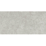 Beste koop Harmony Vloer- en wandtegel 30X60 Grey 10mm Mat Ret.R10 SW928445