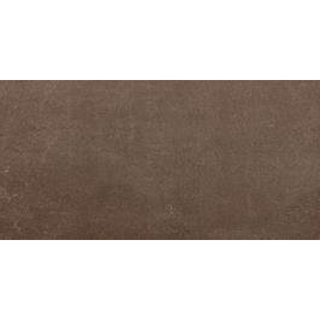 Floorgres Industrial Vloer- en wandtegel 30x60cm 10mm gerectificeerd R10 porcellanato Moka