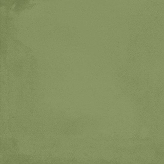 JOS. Hidro Vloer- en wandtegel 20x20cm 8.3mm porcellanato Green