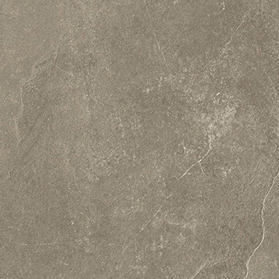 Beste koop Harmony Vloer- en wandtegel 60X60 Taupe 10mm Mat Ret.R10
