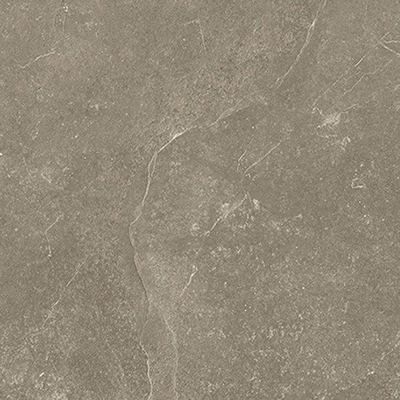 Beste koop Harmony Vloer- en wandtegel 60X60 Taupe 10mm Mat Ret.R10