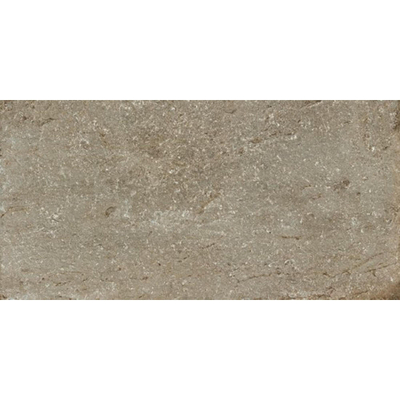 Douglas jones Province Vloer- en wandtegel - 40X80 - 9,5mm - gerectificeerd - Taupe Mat
