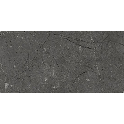 Beste koop Harmony Vloer- en wandtegel 30X60 Black 10mm Mat Ret.R10