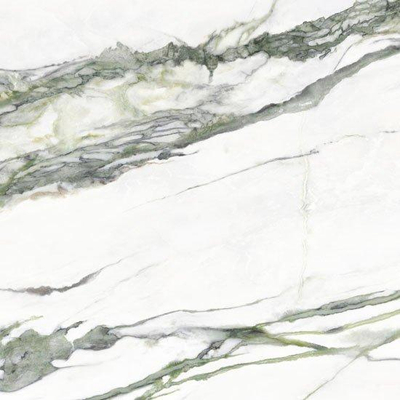 Douglas jones Moods Vloer- en wandtegel - 120X120 - Lp.9mm - gerectificeerd - Marmer - Green Glans