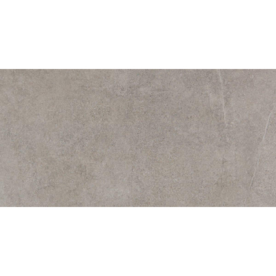 JOS. Disi Vloer- en wandtegel - 30X60cm - 9mm - Rechthoek - gerectificeerd - Porcellanato Grey Mat