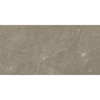 Beste koop Harmony Vloer- en wandtegel 30X60 Taupe 10mm Mat Ret.R10