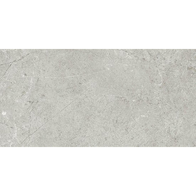 Beste koop Harmony Vloer- en wandtegel 30X60 Grey 10mm Mat Ret.R10