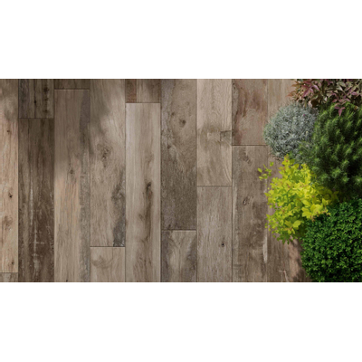 JOS. Woodmania Vloer- en wandtegel 20x120cm 9.5mm R9 porcellanato Ash