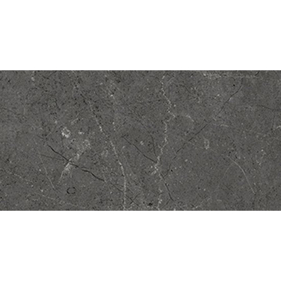 Beste koop Harmony Vloer- en wandtegel 30X60 Black 10mm Mat Ret.R10