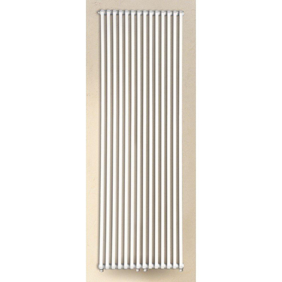 Nemo Spring Calanda 1 2005614 sierradiator staal H 2000 x L 560 mm 1337 W